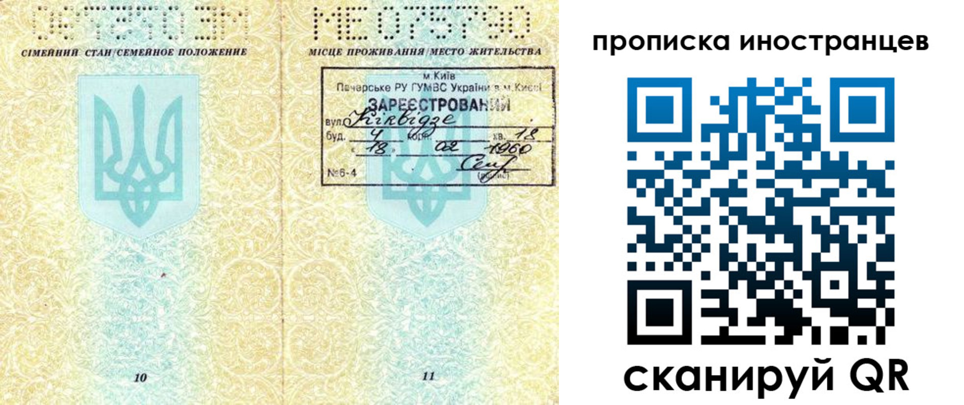 купить прописку в Мончегорске